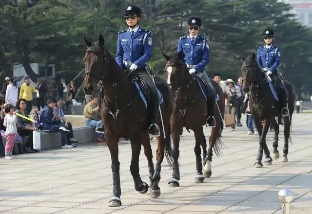 大连女骑警是世界第一支编制女子骑警队为何引发争议差点撤销