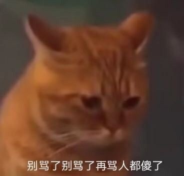 喵咪表情包/我就是蛮不讲理还倍可爱