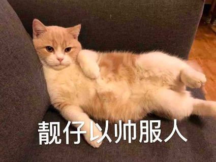 喵咪表情包/我就是蛮不讲理还倍可爱