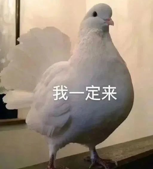 抖音最火表情包