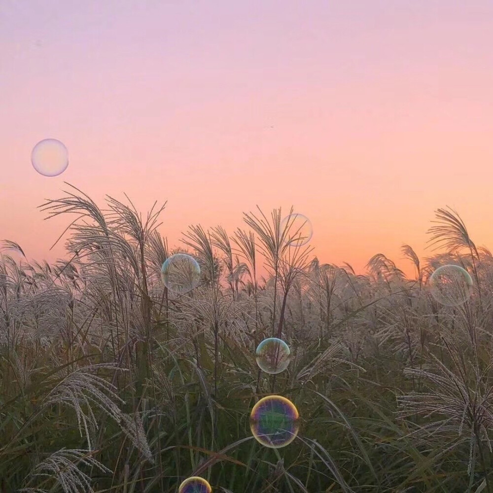 泡泡美图|"夏天的晚风,溢出窗边的泡沫,还有你.