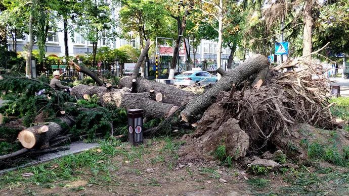 风大到差点把飞机刮跑!江苏遭大风灾害已报11人遇难