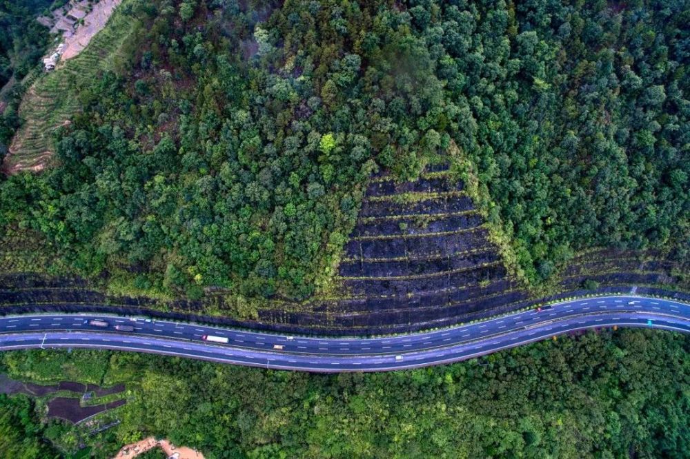 打造"最美公路",云南超认真的!