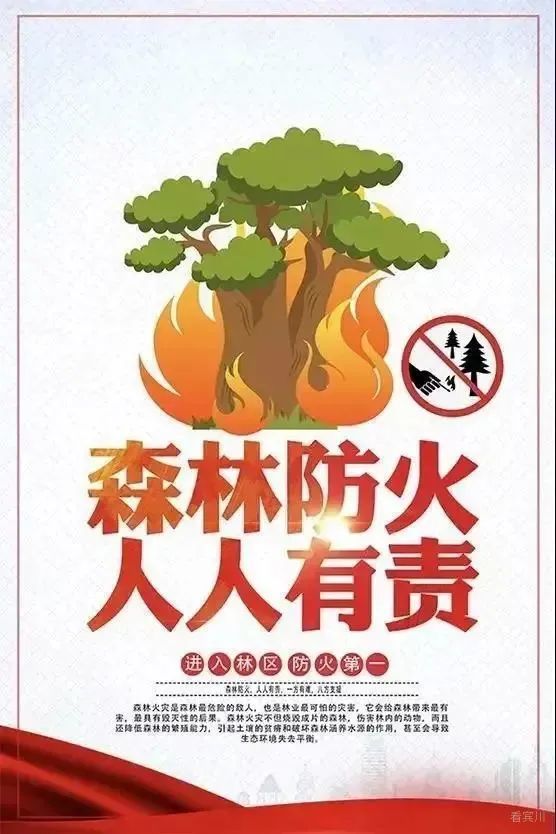关于森林防火,这些知识要牢记