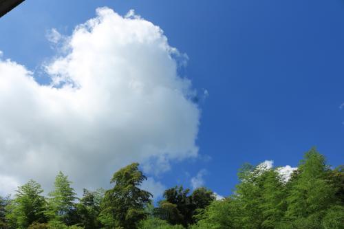 孝感天气预报