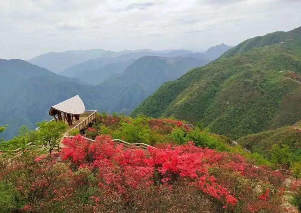 衢州六春湖攻略20版丨上山怎么玩