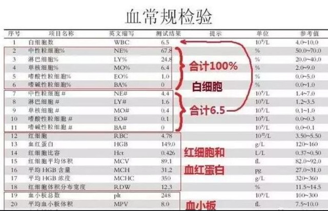 血常规检查:这3个指标升高,可能是身体在"报警",不要忽视