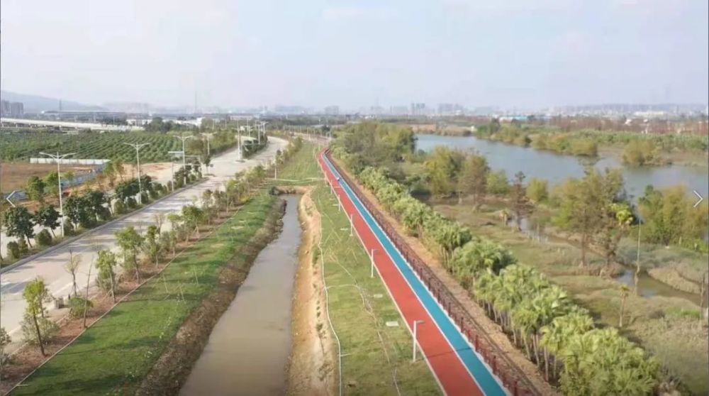 推荐点:江门水道新会段——小鸟天堂碧道