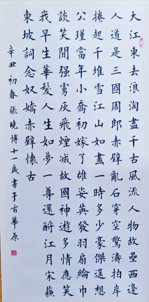 "书法神童"张晓博秀书法,柳楷精到,欧楷险绝,魏碑方劲,佩服
