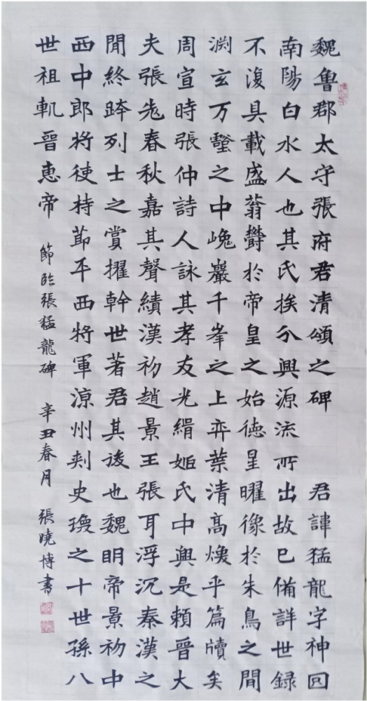 "书法神童"张晓博秀书法,柳楷精到,欧楷险绝,魏碑方劲,佩服