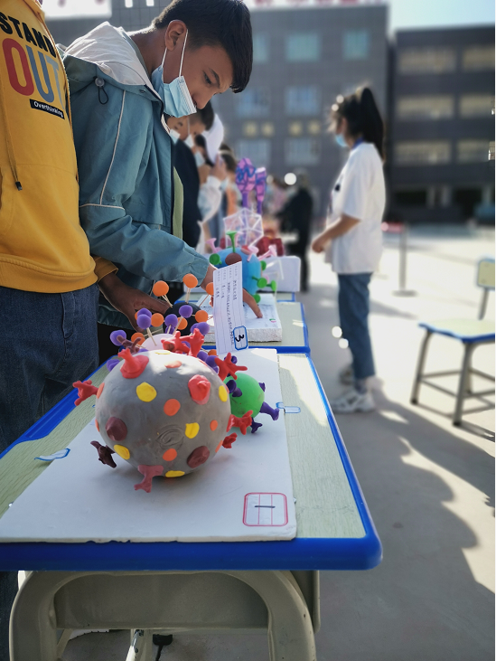 生物活动区展示了新型冠状病毒的细胞模型.