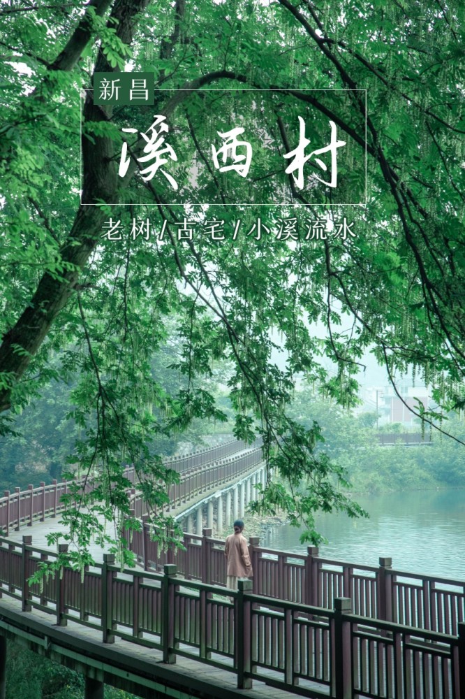 漫走新昌溪西村,老树,古宅,小溪流水人家新昌的古村不少