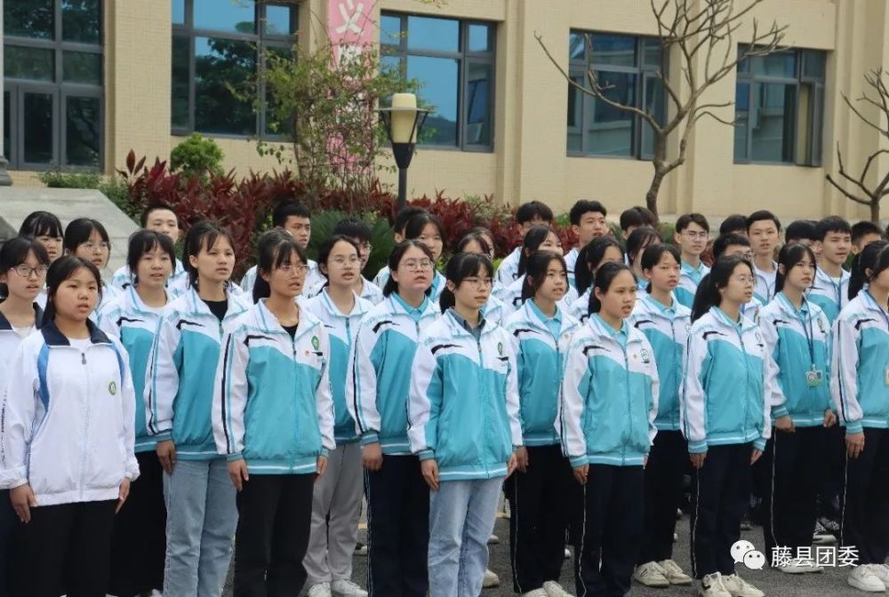 共组织藤县中学,藤县实验中学,藤县一中,藤县五中,藤县六中,藤县七中