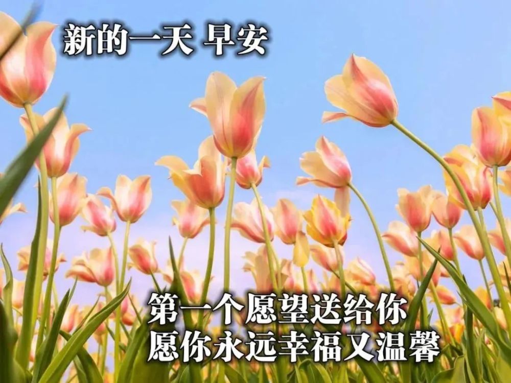 5月2日早上好|每日问候
