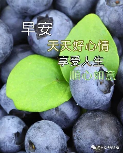 早安图片带字大全 早安问候语录