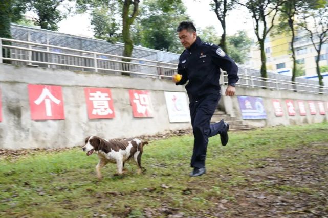 "警犬队长"何士涛:别样刑警与犬共"舞"18年!