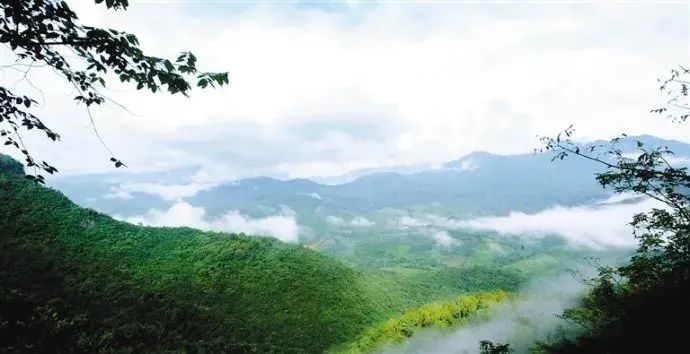 海南热带雨林国家公园