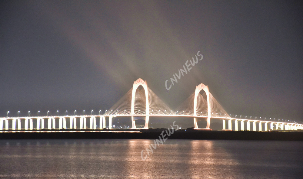 茂名第一座跨海大桥:水东湾大桥,夜色下的"海湾之贝"