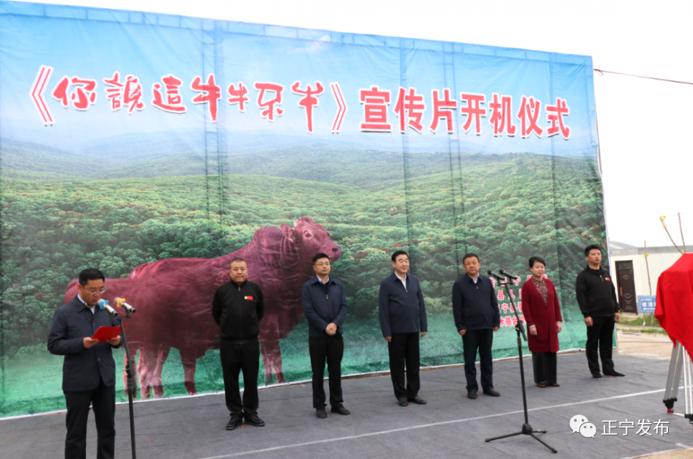 陇东早胜牛宣传片你说这牛牛不牛开机拍摄