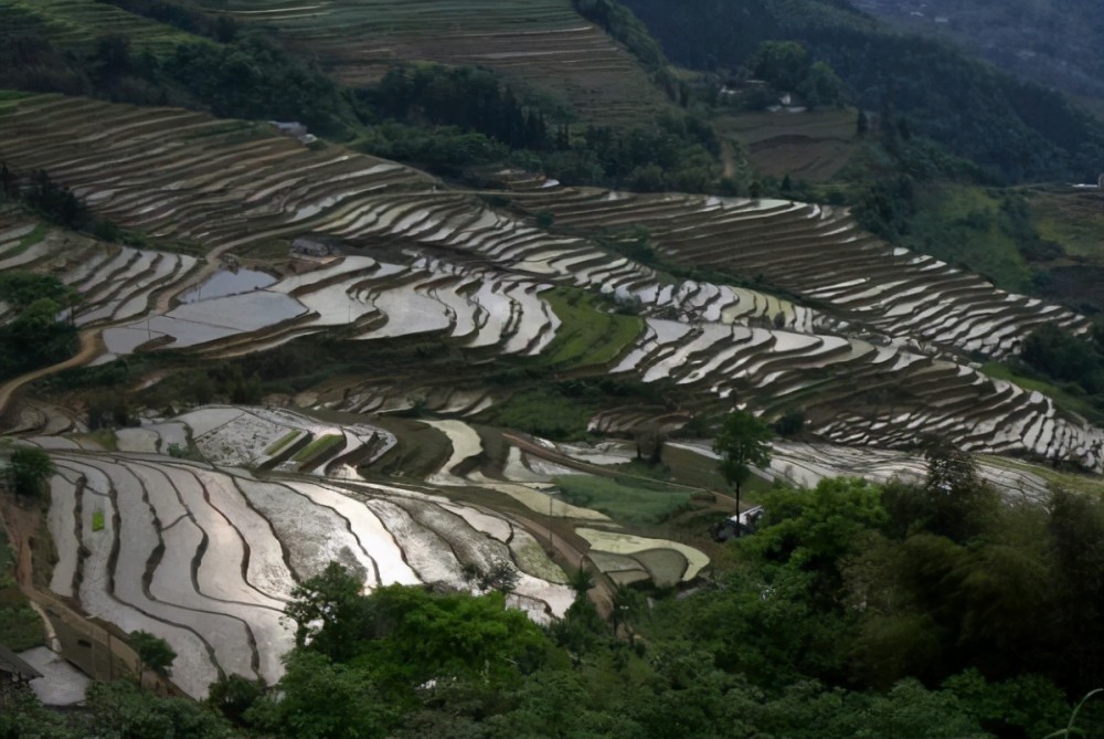 8,川南高坎梯田