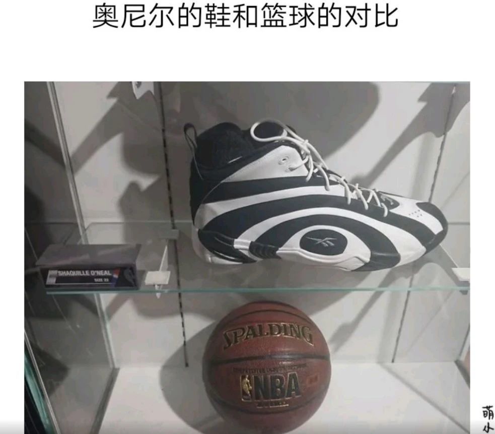 每日一笑:奥尼尔的鞋和篮球对比,我感觉我能单手握篮球了