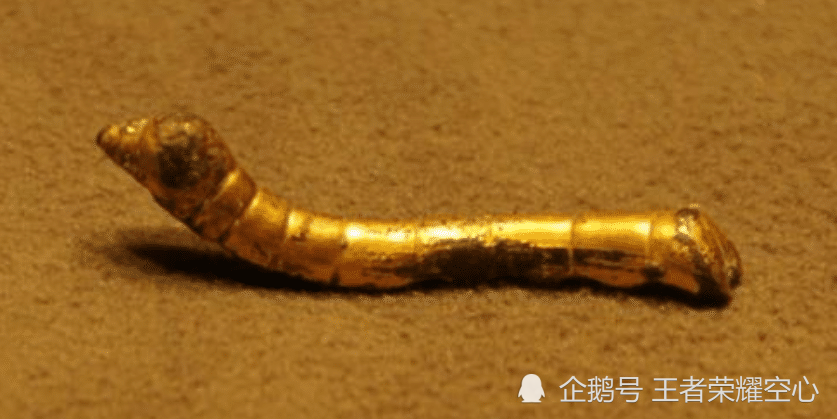 农民抓鱼时捡到一条"金蚕",拒绝2万收购,上交国家成一