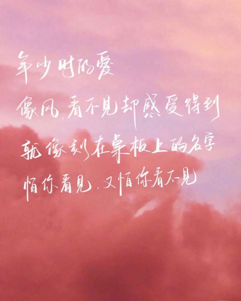 文案|女主为爱考清华《暗格里的秘密》