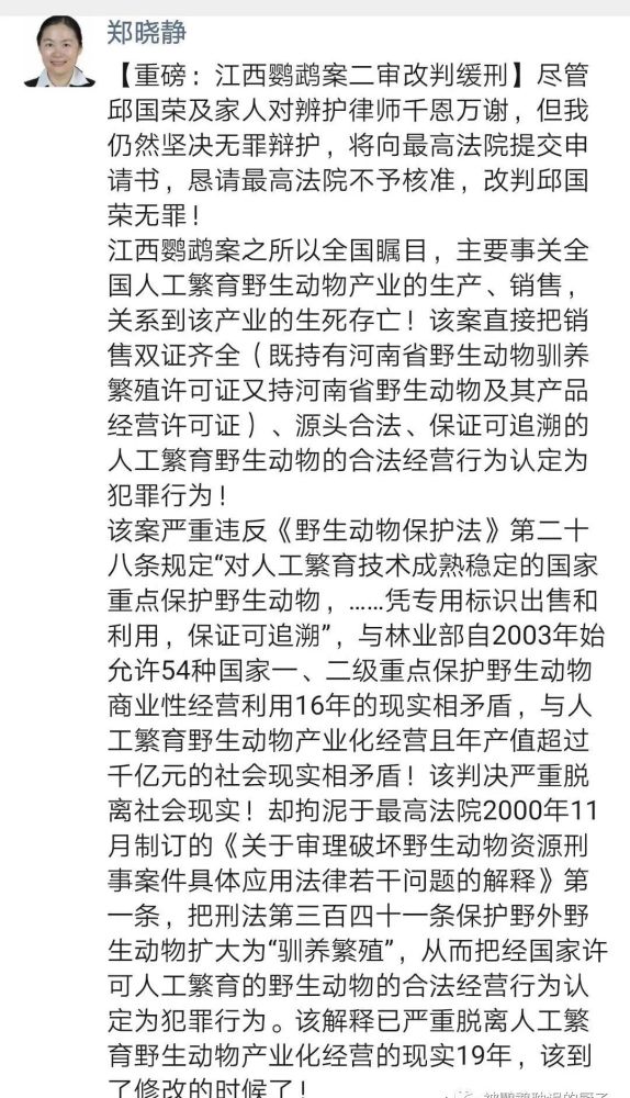 鹦鹉的简谱_鹦鹉简笔画(3)