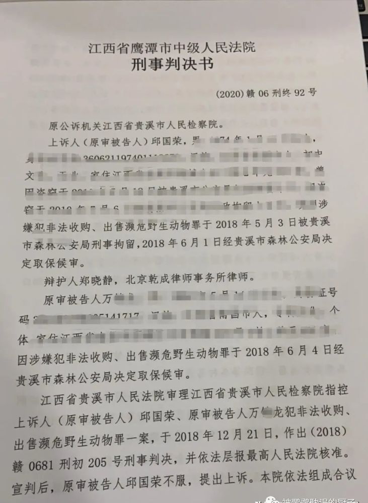 鹦鹉的简谱_鹦鹉卡通图片(2)