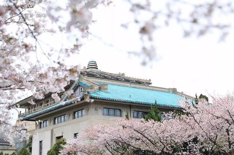 同是985,同在省会,武汉大学和南京大学,谁的实力更强一些?