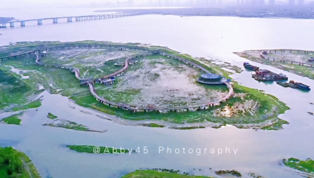 福建省最大红树林公园，厦门海上绿色长城，用树种出爱祖国的形状腾讯新闻 4835