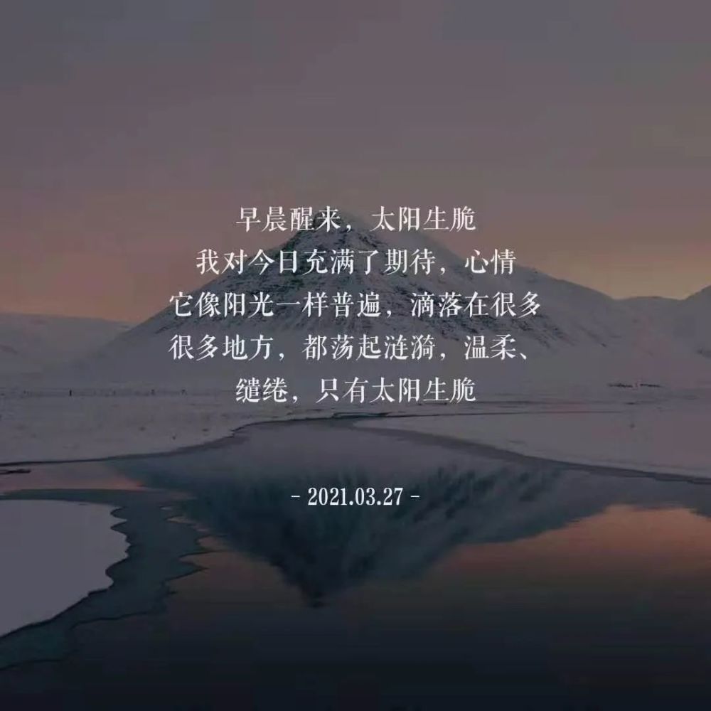 粉丝投稿‖把心情寄托在文案里