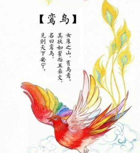 临镜生悲的爱情之鸟—鸾鸟|鸾鸟|山海经|孤独|凤凰|文箫