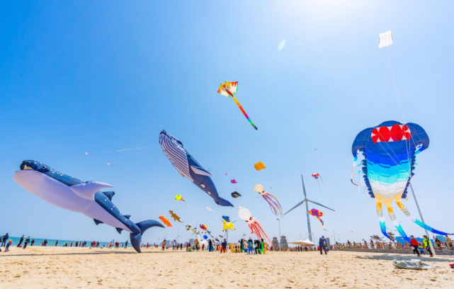 走进那香海,感受风筝节和阳光海岸带给我们的无限欢乐