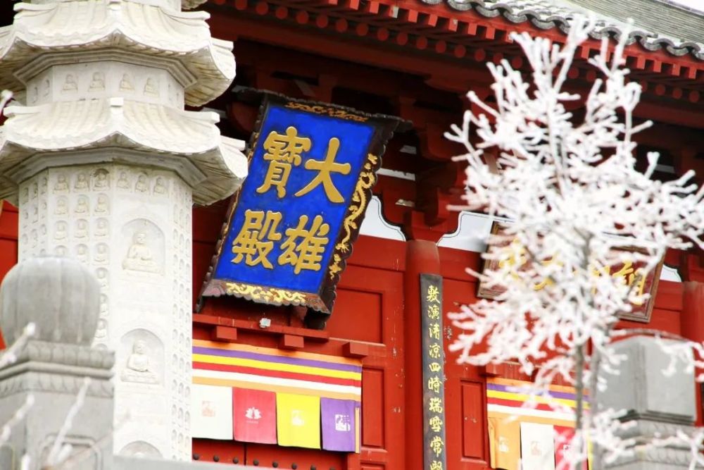 五台山竹林寺:竹林春雪