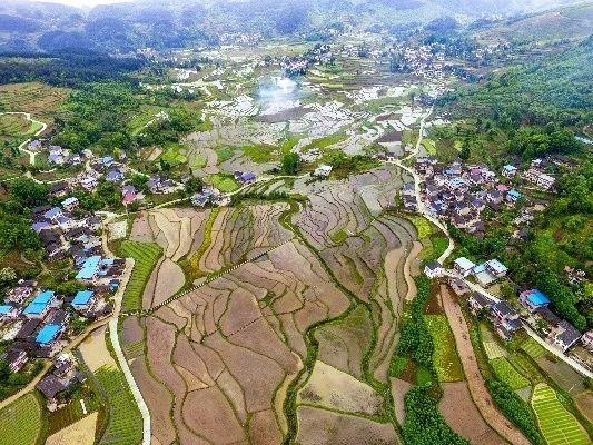 蓝山县二0二0年总人口_二年级看图写话