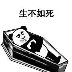 表情包生不如死