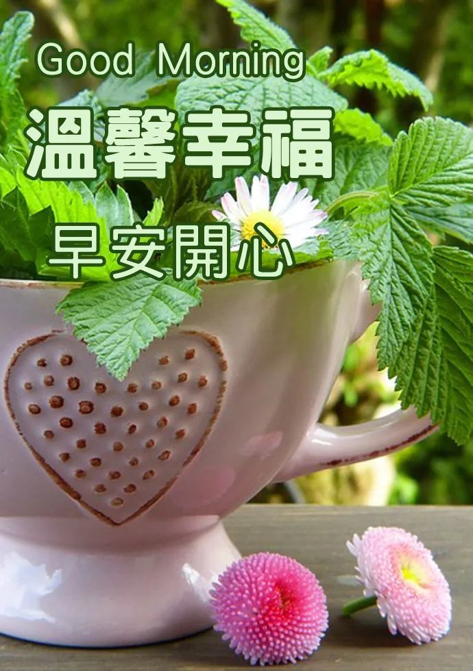 最新的带鲜花早安祝福语动态图片带字,问候女朋友早安