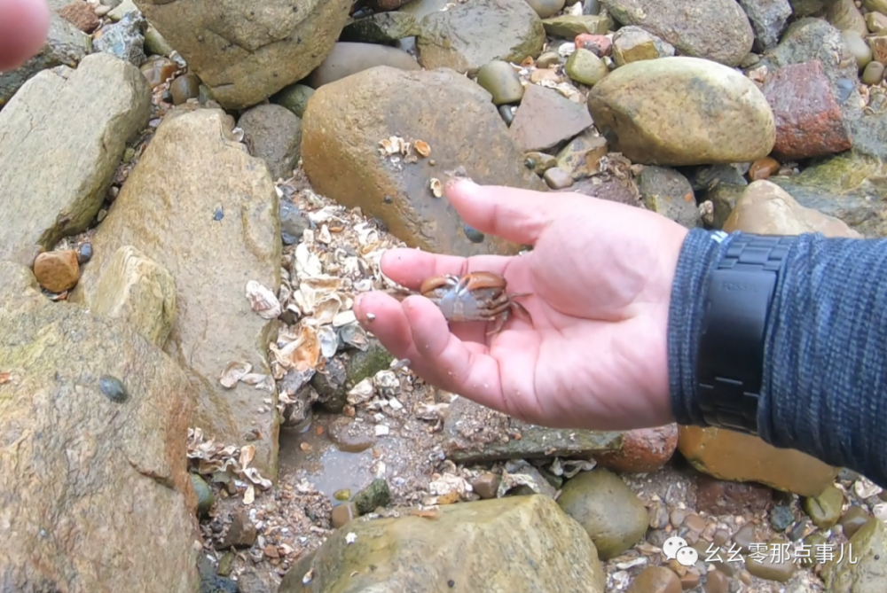 捡海星,抓螃蟹,钓海鱼!北京到青岛的边玩边钓之旅不要