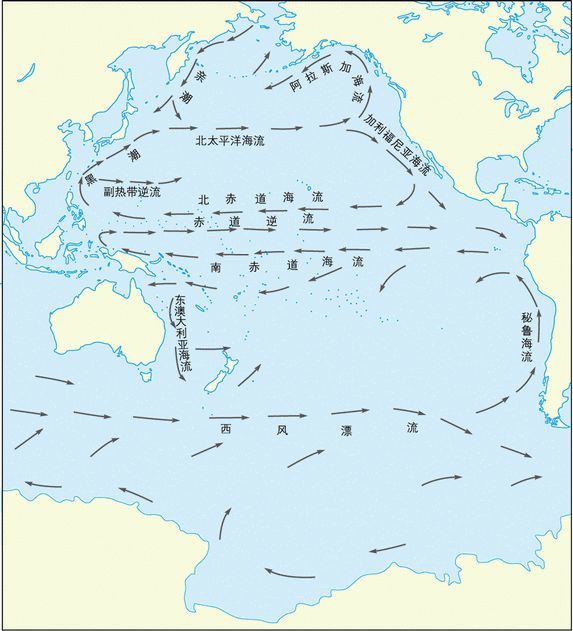 整个太平洋环流系统.