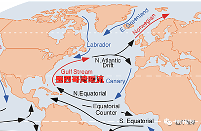 称为 墨西哥湾暖流.
