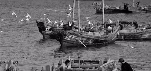鲁荣渔2682号大逃杀:33人出海,11人返港,人性究竟能有