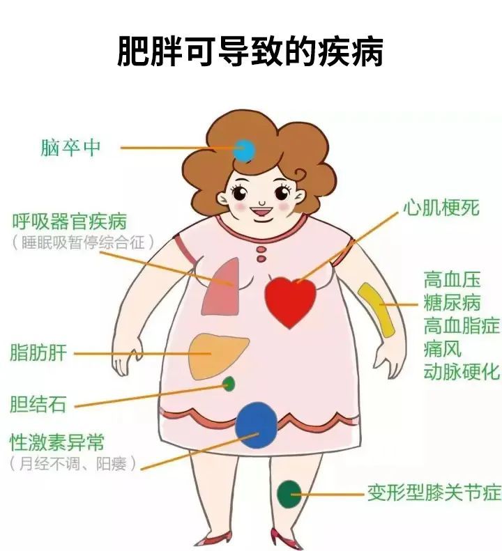 避免肥胖的10种方法,你知道吗?