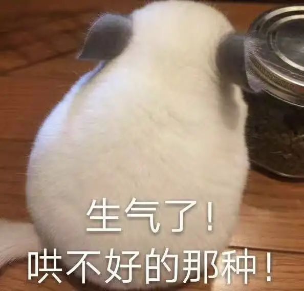 "当男朋友惹你生气时表达不满的表情包"