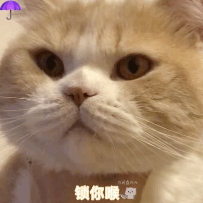 被命运锁住咽喉