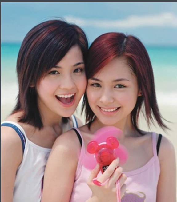 twins—娱乐圈最大的塑料姐妹花