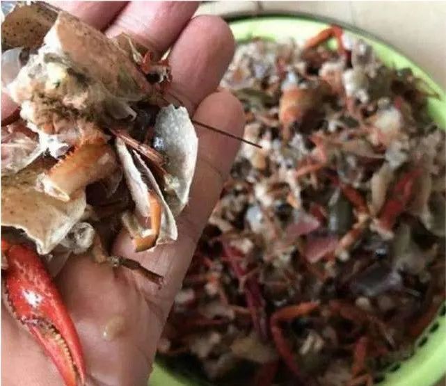 掀开洗衣机,只见桶壁上挂满了小龙虾碎片,桶底积了满满的一层龙虾壳