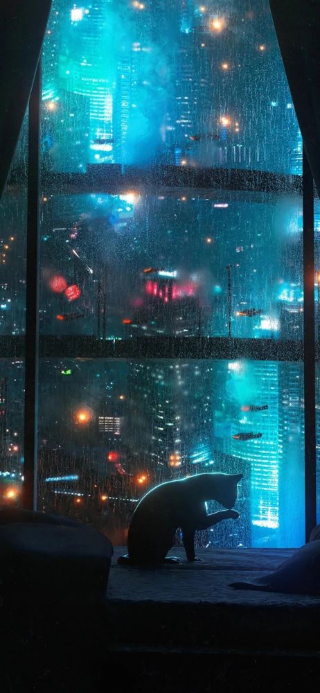 手机壁纸|珍惜眼前人