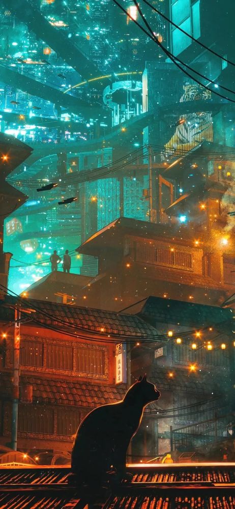 手机壁纸|珍惜眼前人