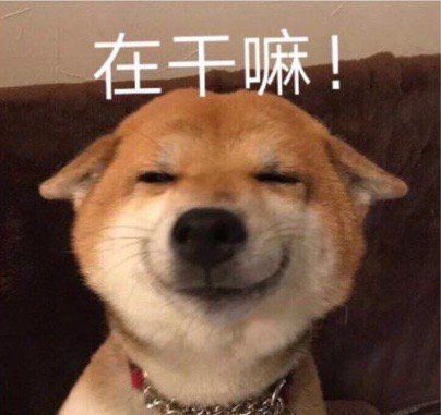 令人捧腹大笑的沙雕句子